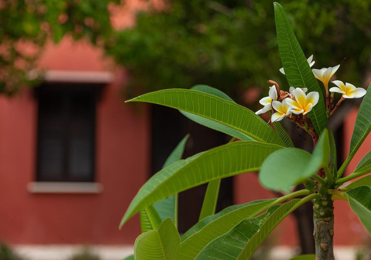 Casa Mespilea Hotel Paphos Eksteriør billede